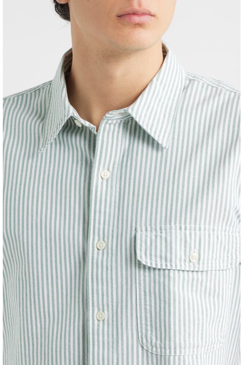Allday Oxford Single Pocket Short Sleeve Button-Up Shirt, Alternate, color, GREEN STRIPE