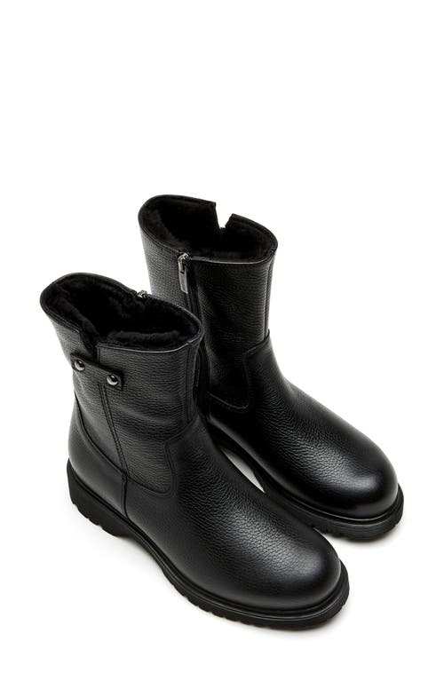 La Canadienne Hogan Shearling-lined Pebbled Leather Booties In Black