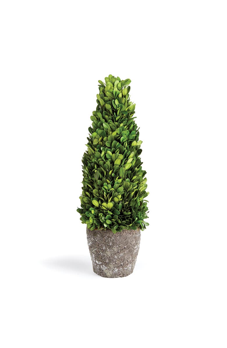 Napa Home & Garden Boxwood Cone Topiary Drop-In 16", Main, color, Green