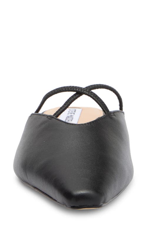 Steve Madden Pammie Mule In Black Leather