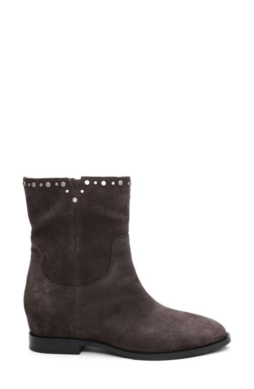 Ash Jackie Bootie In Gray