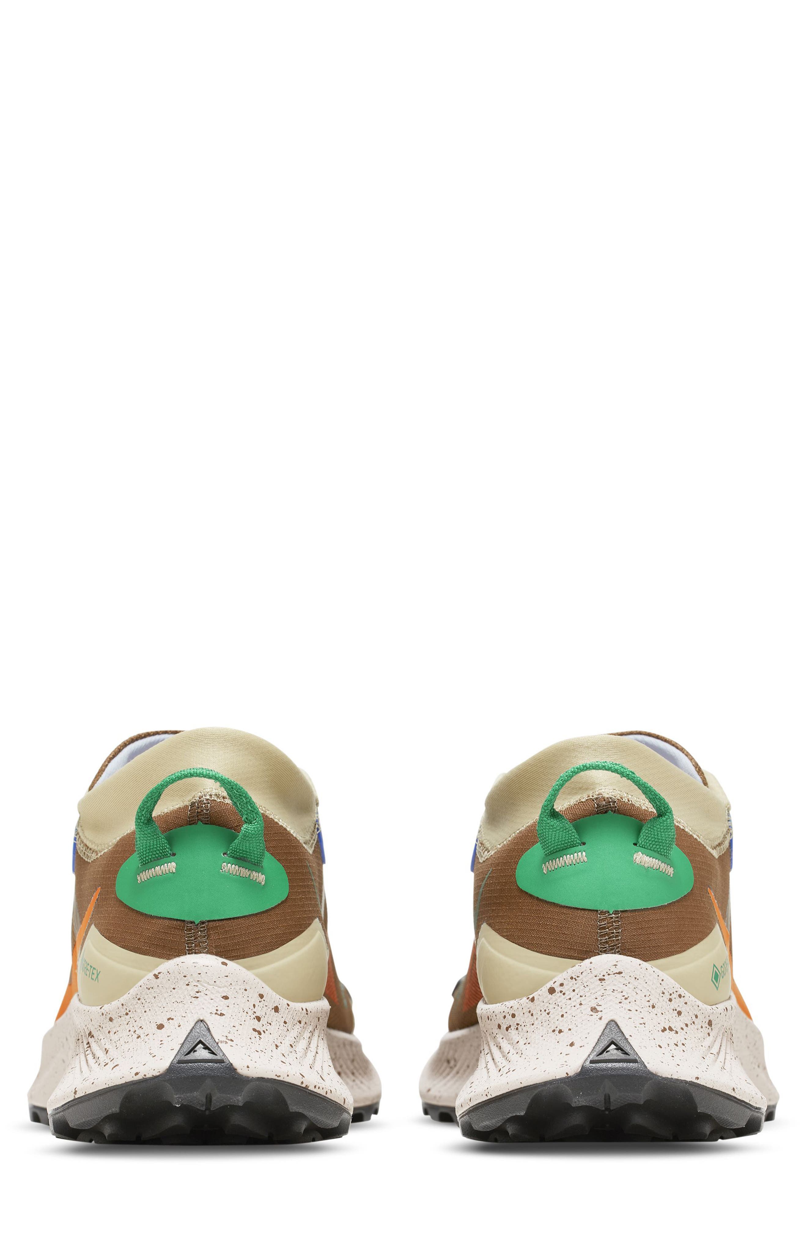 Nike Pegasus Trail 3 Running Shoe, Alternate, color, 