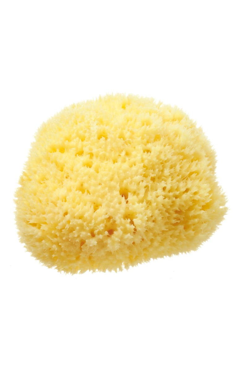 HYDREA LONDON Natural Honeycomb Sea Sponge, Main, color,