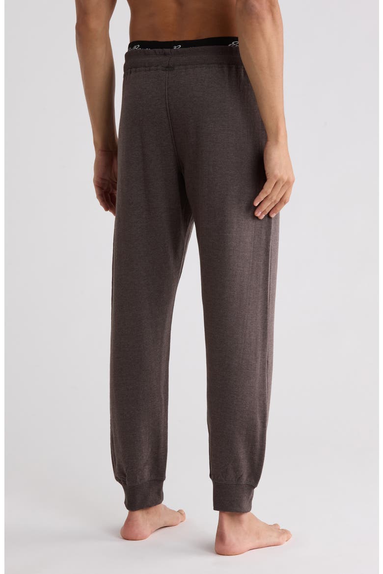 Ultrasoft Fleece Joggers, Alternate, color, CHARCOAL HEATHER
