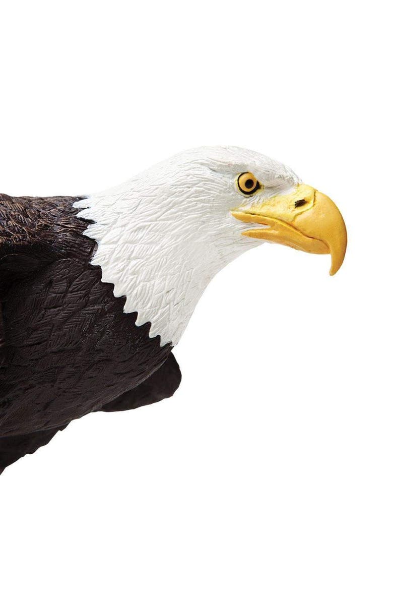 Safari Ltd. Bald Eagle Toy, Alternate, color, NO COLOR