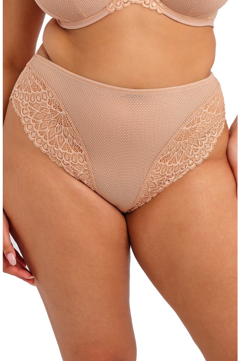 Tiernie Lace Trim Mesh Briefs, Main, color, SAHARA