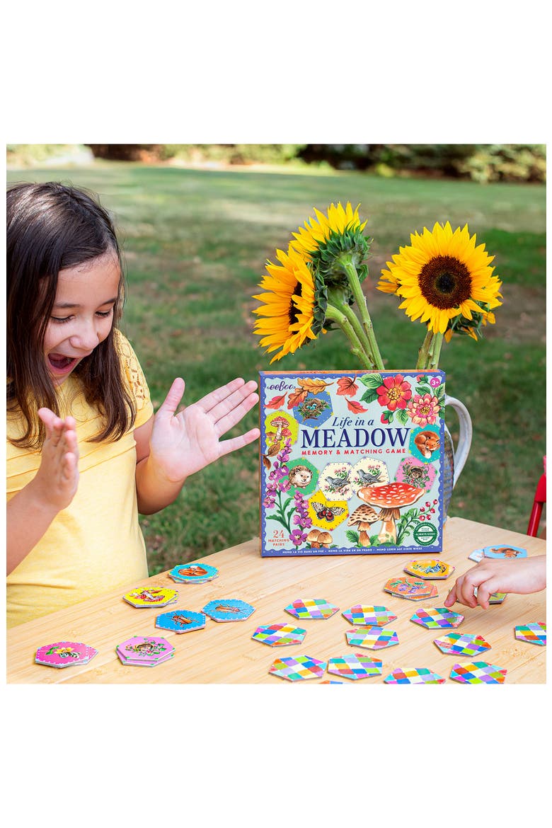 Life In a Meadow Memory & Matching Card Game, Alternate, color, MULTI