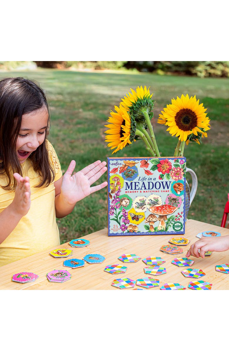 eeBoo Life In a Meadow Memory & Matching Card Game, Alternate, color, Multi