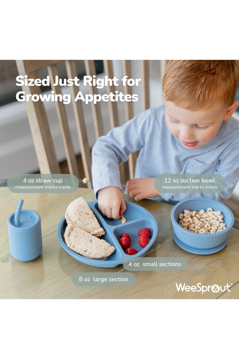 Silicone Baby Feeding Set, Develops Self Feeding Skills, BPA-Free, 8-Piece, Alternate, color, Purple