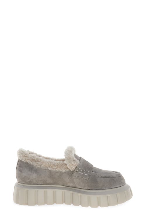 Voile Blanche Grenelle Genuine Shearling Platform Loafer In Gray