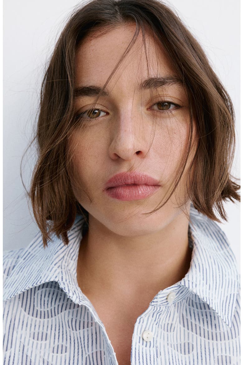 Embroidered Stripe Button-Up Shirt, Alternate, color, SKY BLUE