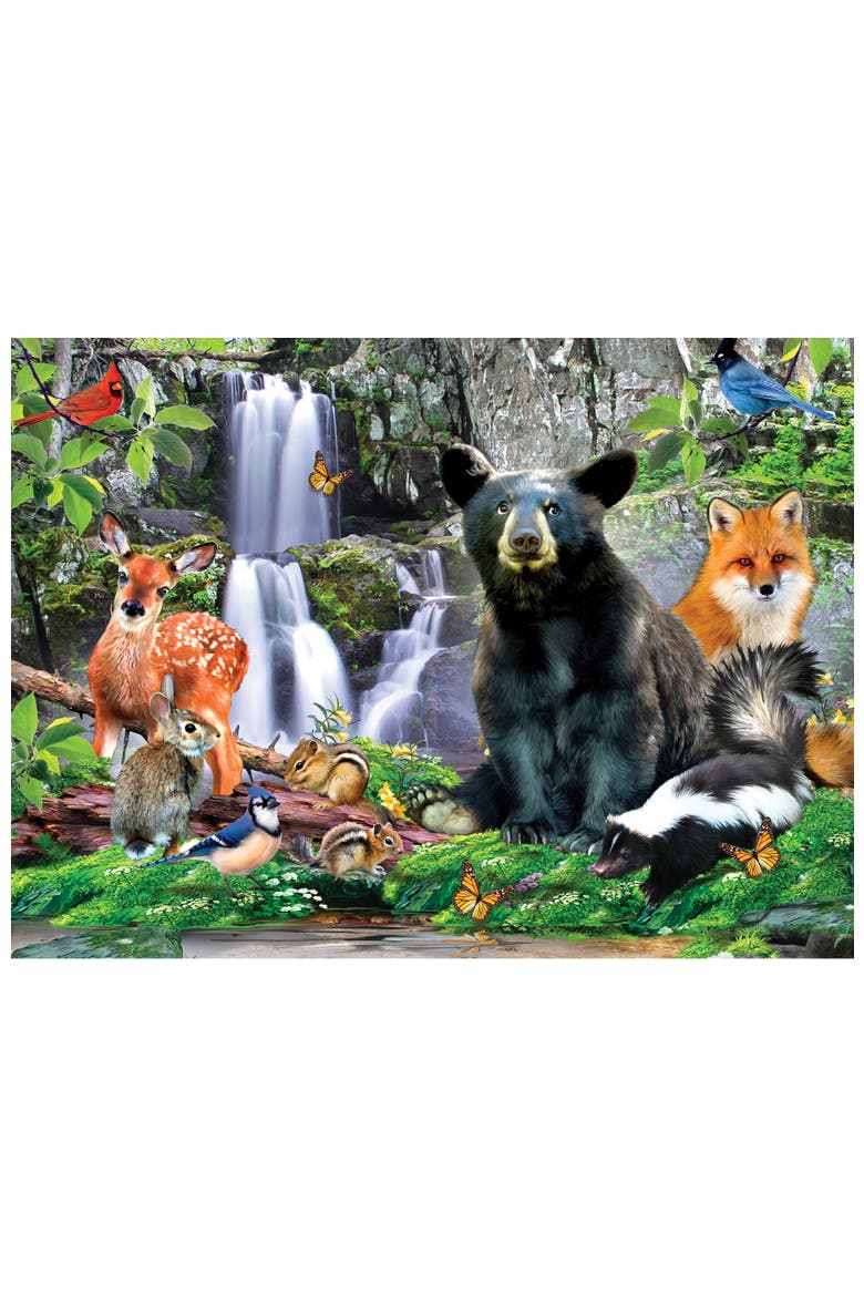 Wildlife of Shenandoah 100pc Puzzle, Alternate, color, Multicolor