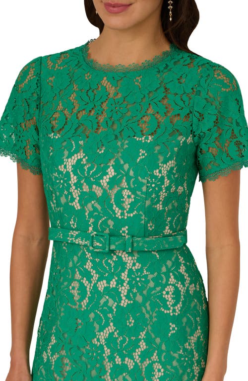 ADRIANNA PAPELL ADRIANNA PAPELL SHORT SLEEVE BELTED LACE MIDI DRESS 