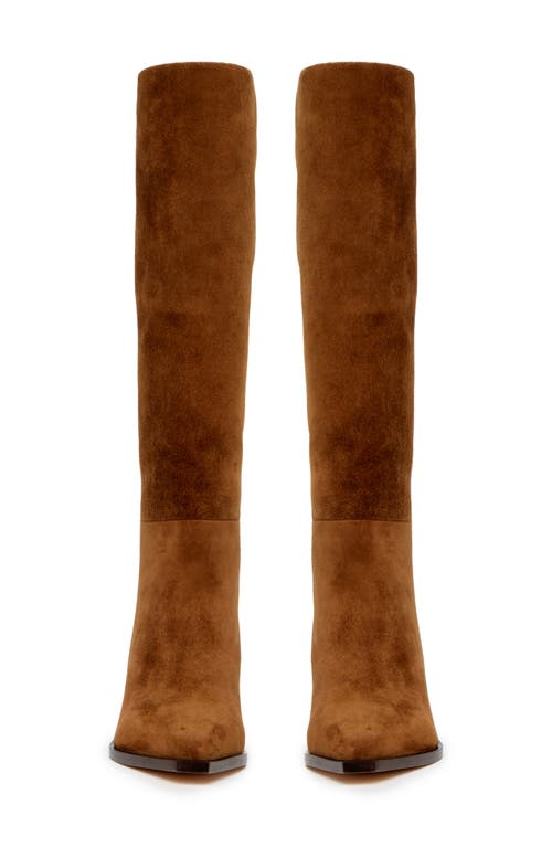Paige Lillian Knee High Boot In Brown