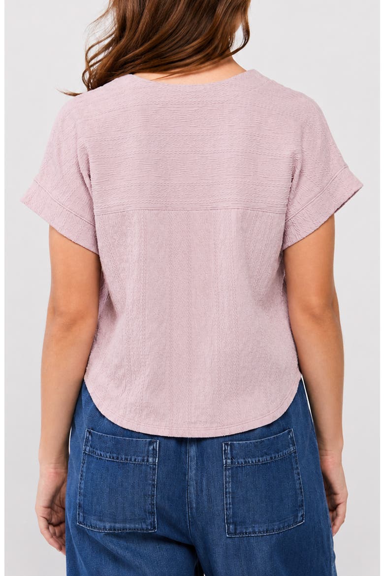 Larena V-Neck Top, Alternate, color, BLUSH