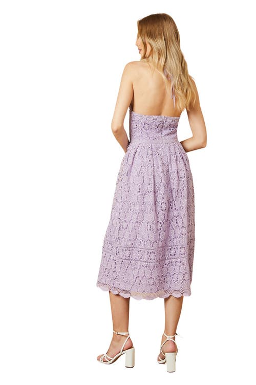 Oasis Lace Detail Halterneck Midi Dress In Purple