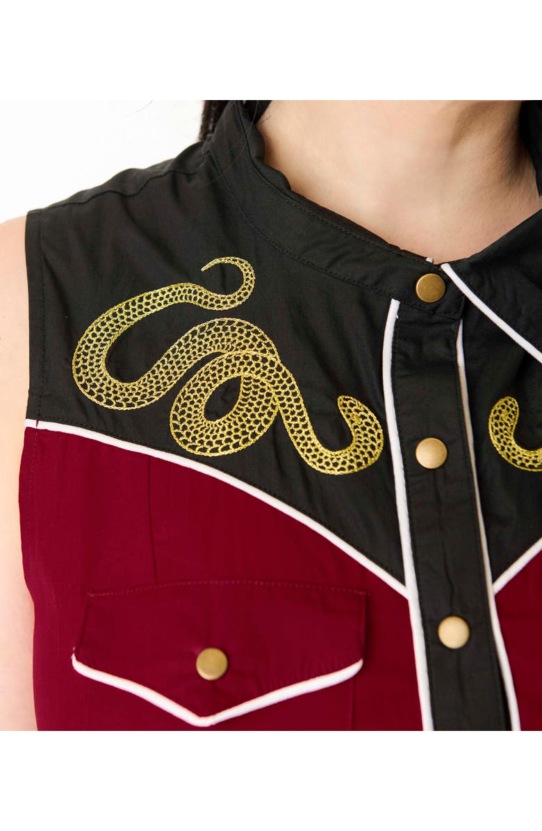 Unique Vintage Plus Size Western Flare Dress, Alternate, color,