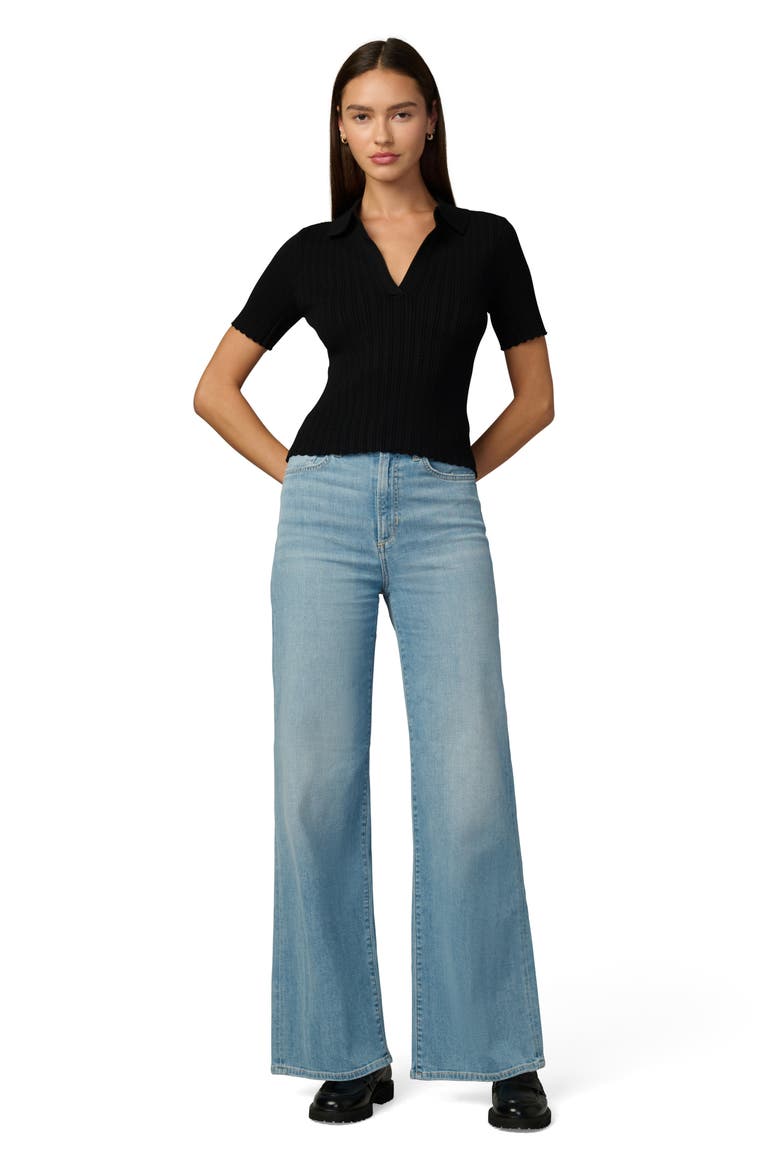 The Jess Pointelle Polo Sweater, Alternate, color, BLACK