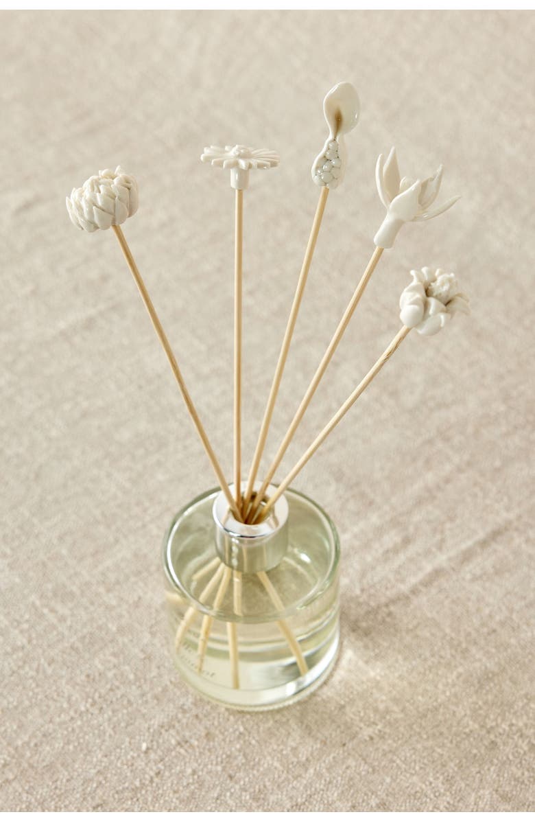 kanju Interiors African Flowers  Diffuser Set, Alternate, color, Natural - Small