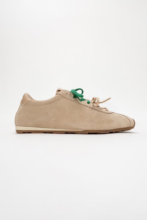 Forever & Always Shoes Crea Leather Sneakers In Beige Suede Leather