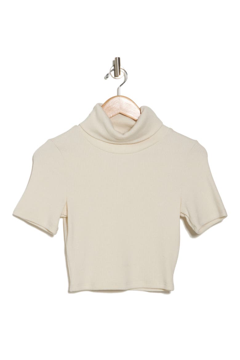 Anne Short Sleeve Turtleneck Crop Top, Alternate, color, CREAM