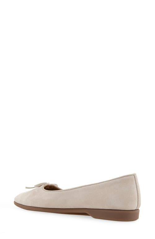 AEROSOLES AEROSOLES NOVIA BALLET FLAT