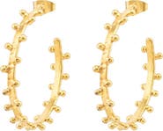 SYLVIA TOLEDANO Gipsy Earrings