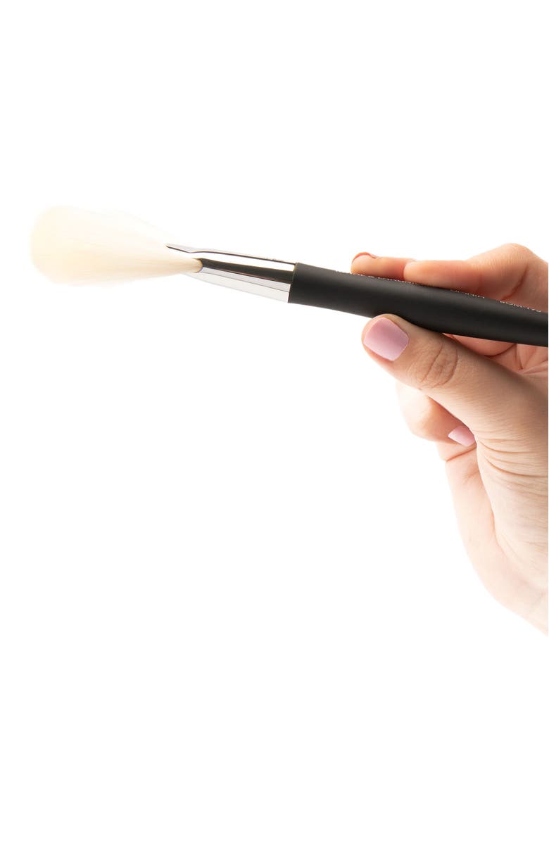 OMNIA Brush Pro Large Fan Makeup Brush, Alternate, color, Black