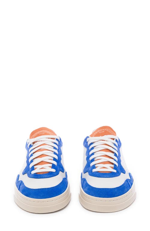 P448 Bali Low Top Sneaker