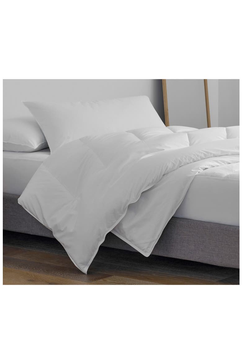 Clean Essentials Pillow & Pillow Protector Set, Alternate, color, WHITE