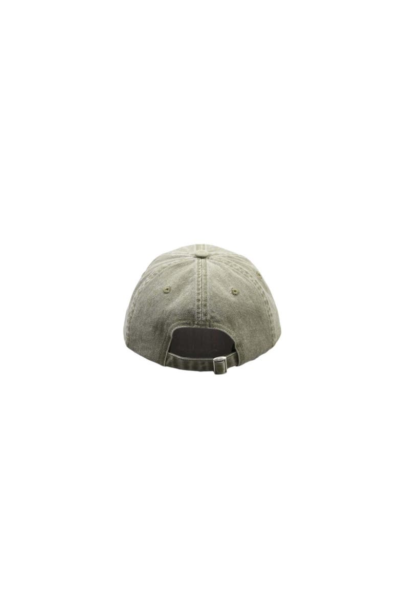 SAINT PERRY Distressed Baseball Hat, Alternate, color, Green
