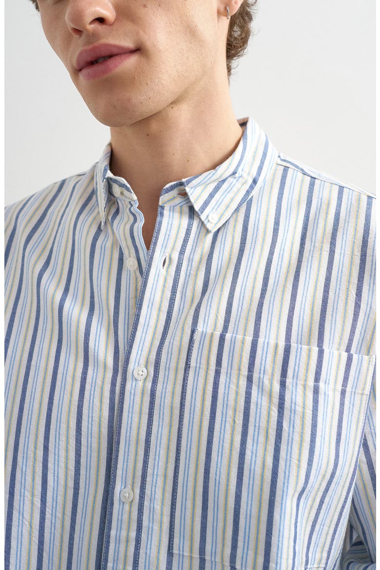 Relaxed Fit Stripe Cotton Button-Down Oxford Shirt, Alternate, color, BLUE MULTI