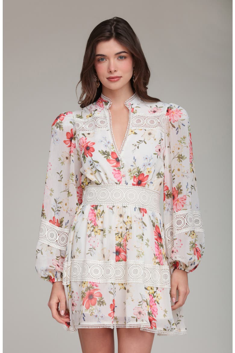 Floral Lace Detail Long Sleeve Minidress, Alternate, color, CREAM FLOWER PRESS