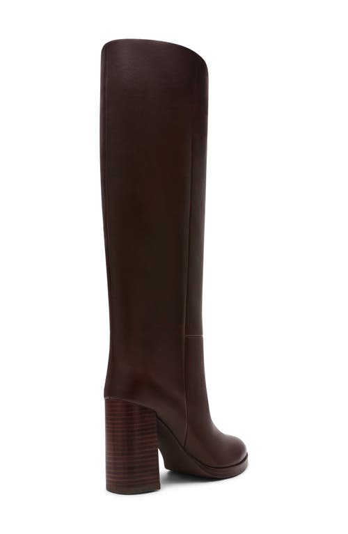 Dolce Vita Dv By Bardonny Knee High Boot In Brown