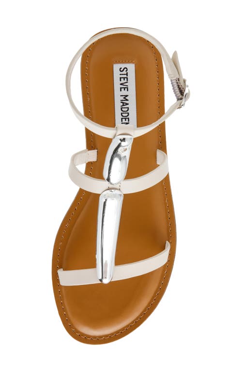 Steve Madden Alma Gladiator Sandal In Bone Leather