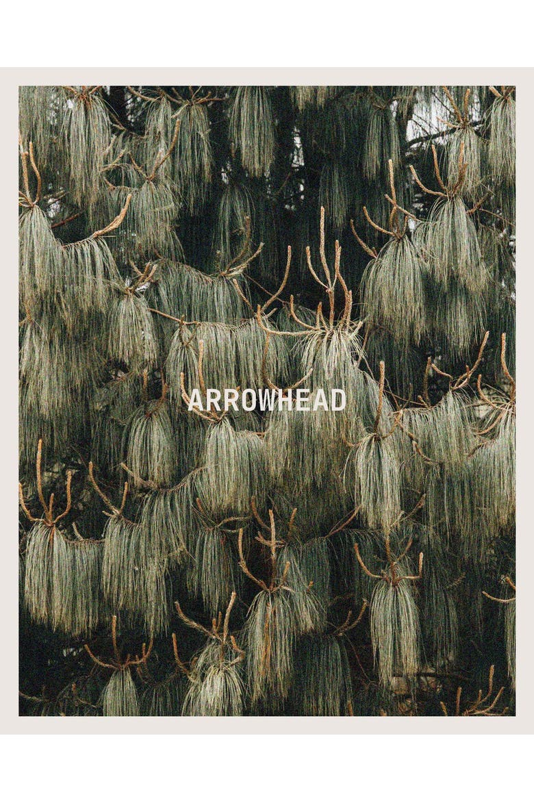 Arrowhead Candle, Alternate, color, None