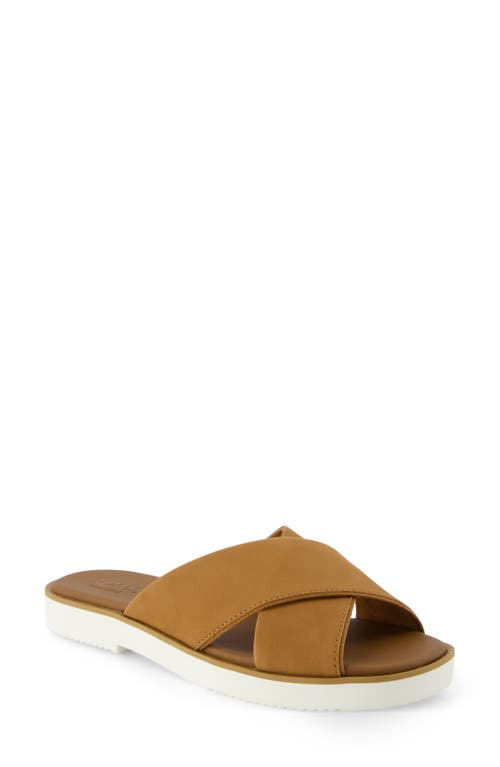 TOMS TOMS MAE CRISSCROSS SLIDE SANDAL 