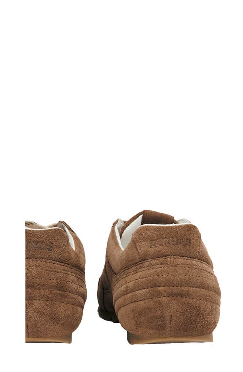 Alohas Tb.56 Suede Cream Leather Sneakers In Brown