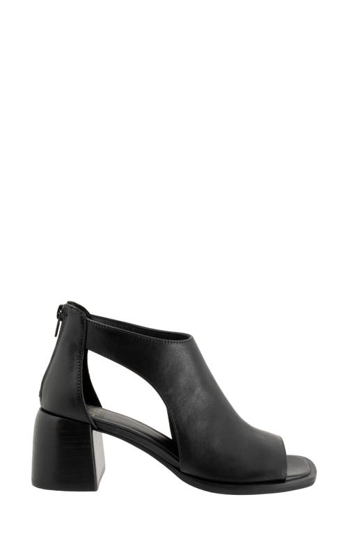 Eos Footwear Isolde Block Heel Sandal In Onyx