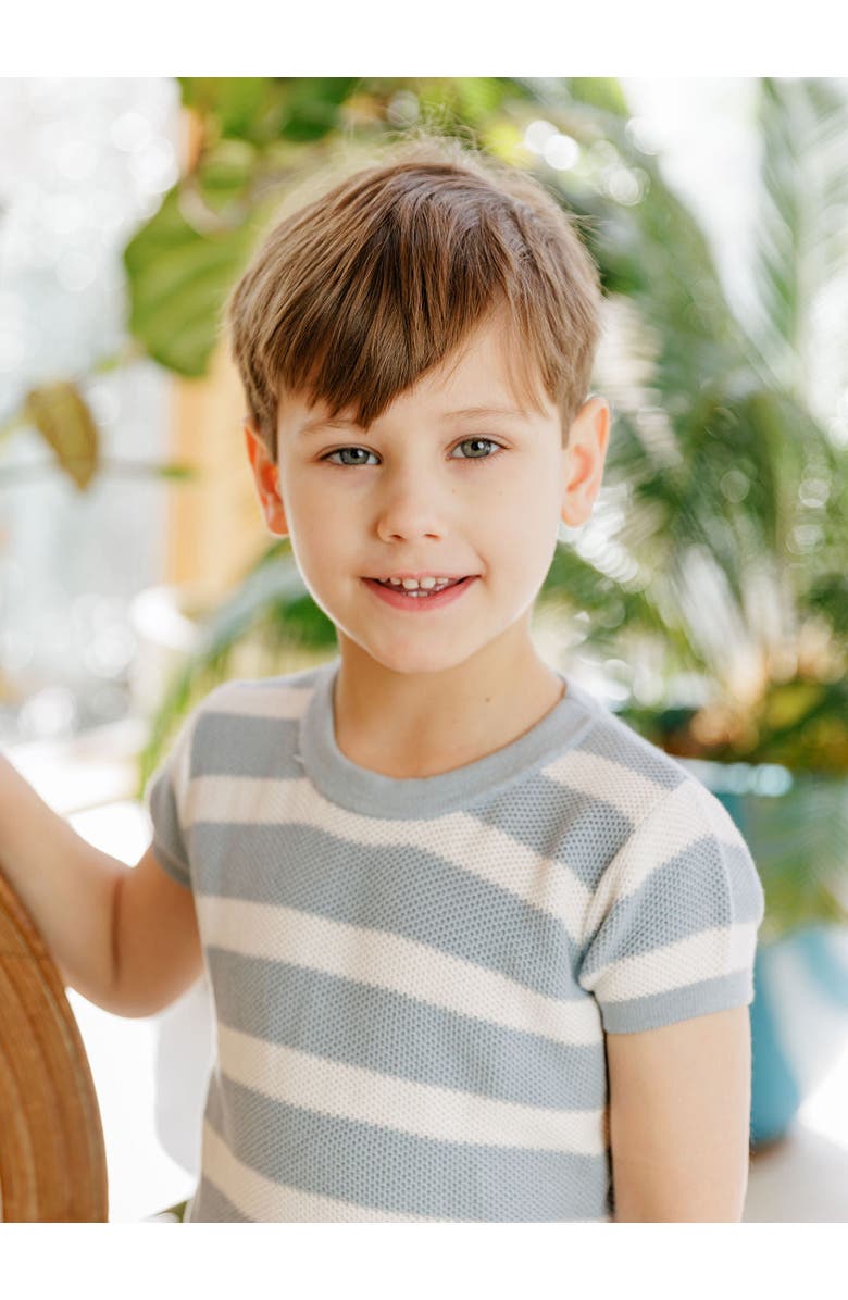 Ely's & Co. Looms Wave Collection - Stripe Knit Top, Alternate, color, Blue