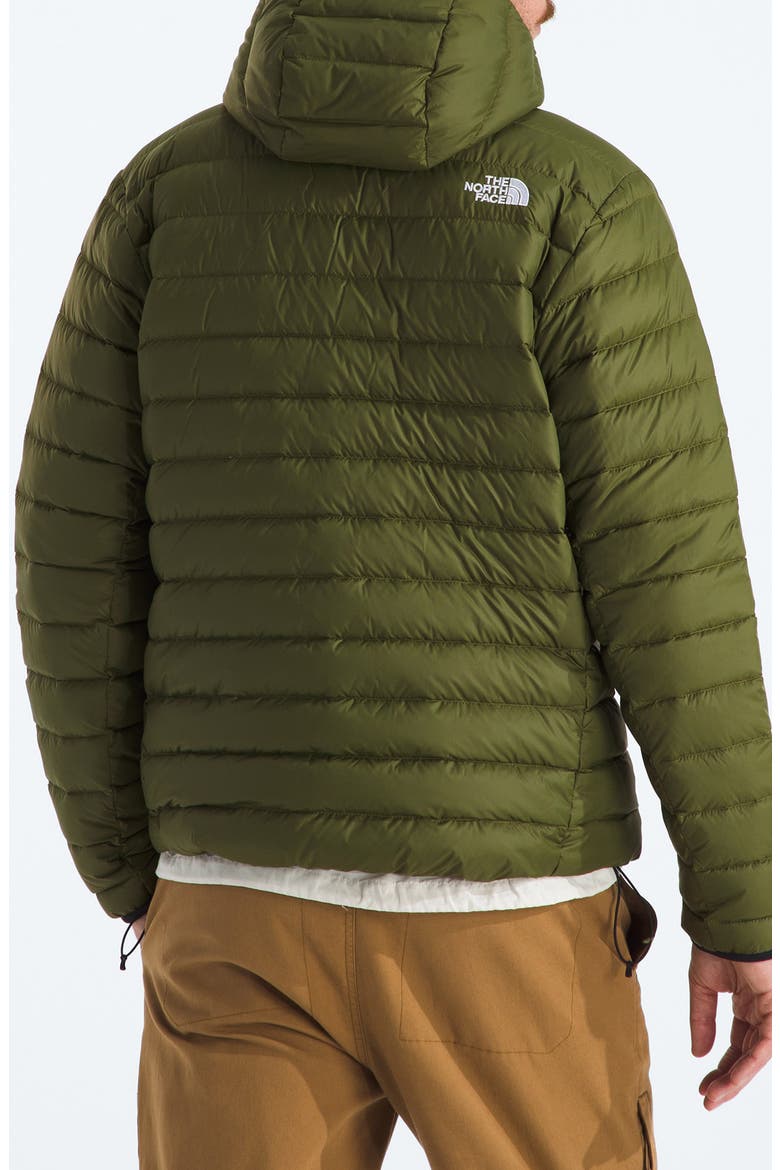 Classic 700 Fill Power Down Hooded Jacket, Alternate, color, WOODLAND GREEN