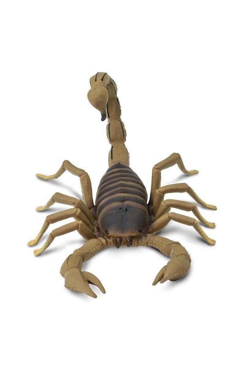 Safari Ltd. Scorpion Toy, Alternate, color, NO COLOR