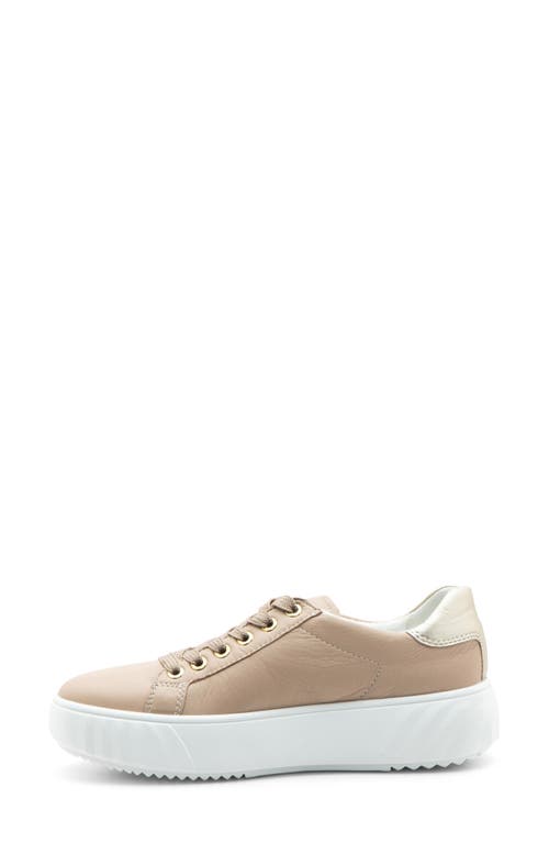 Ara Mikky Platform Sneaker In Neutral