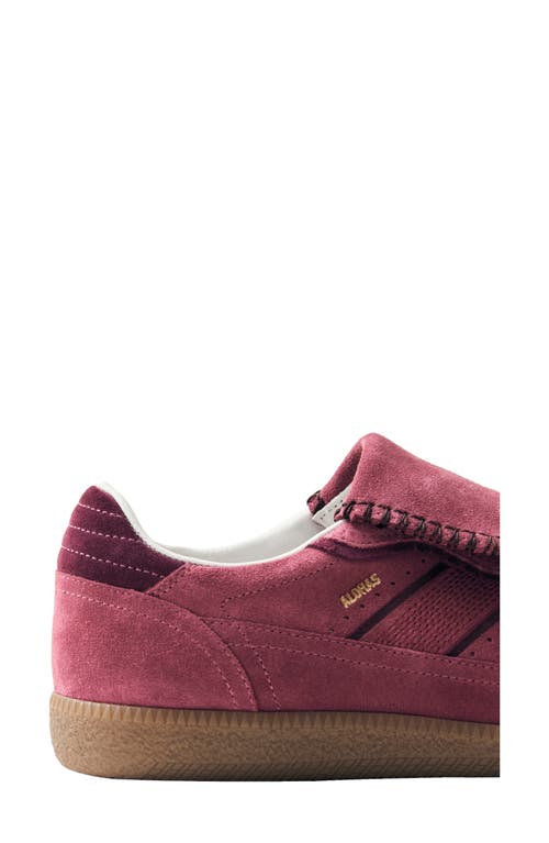 Alohas Tb.490 Club Suede Raspberry Leather Sneakers Raspberry In Pink