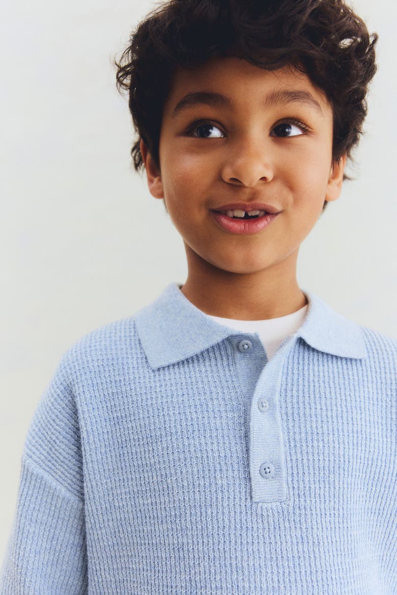 Rib-knit Polo Shirt, Alternate, color, Light dusty blue