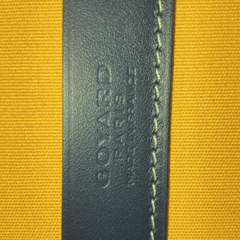 Muse Vanity Case Coated Canvas