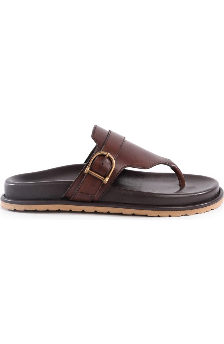 Seychelles Santa Cruz Sandal, Alternate, color, Dark Brown