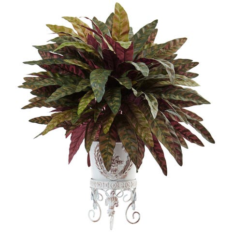 2-ft Peacock Bush with Metal Planter