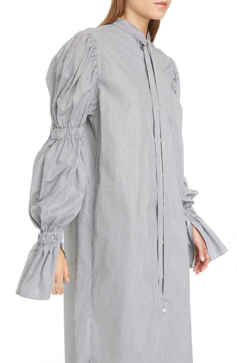 Dries Van Noten Doves Pinstripe Long Sleeve Shirtdress, Alternate, color,