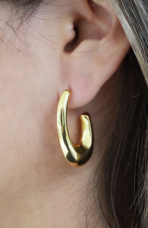 Argento Vivo Sterling Silver Graduated Oval Hook Hoop Earrings